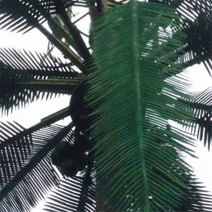 Искусственная башня с деревом, маскированная антенна, монопольная башня, 20 м, 24 м, 25 м, 30 м, 35 м, 40 м, 45 м, 50 м - Product Image 2