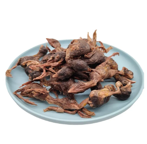 लसीथिन उच्च प्रोटीन कम वसा वाली बिल्ली और कुत्तों के स्वादिष्ट स्नैक्स प्रशिक्षण - Product Image 5