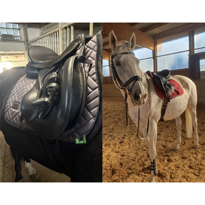 Ensemble assorti d'accessoires équestres écologiques en gros : tapis de selle rembourré, bonnet anti-mouches, cache-oreilles, brosses et bottes pour <span class=keywords><strong>chevaux</strong></span> - Product Image 6