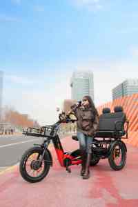 Triciclo Eléctrico de 3 Ruedas, 2000w, Motor Dual, 7 Velocidades, con Batería de Iones de Litio, Disponible en la UE - Product Image 3
