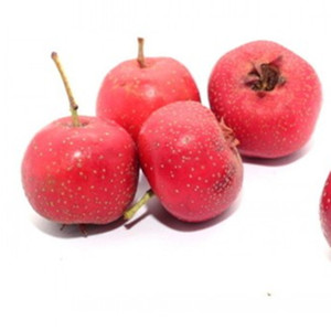 Polvo de espino <span class=keywords><strong>natural</strong></span> puro de grado alimenticio Polvo de jugo de espino - Product Image 4