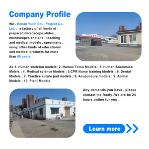 Tıbbi Bilim Kadın Doğum Kontrol Uygulama Modeli Hastane Jinekoloji Bölümü için Tıbbi Eğitim Modelleri - Product Image 3