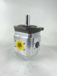 Eckerle <span class=keywords><strong>EIPC</strong></span> Series Bomba Hidráulica de Engranajes Internos, Bomba de Engranaje de 2, 1, 2, 2, 1, 2, 2, 2, 2, 1, 2, 2, 2, 2 - Product Image 2