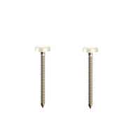 Usine OEM Upvc Clous Polytop Vis 50mm 65mm Clou supérieur en plastique avec tige annulaire Clou à tige cylindrique en nylon