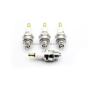 Pièces de rechange pour machines de jardin : Bougie d'allumage pour BR7HS WR5BC BR7HS10 W22FPRU - Product Image 1