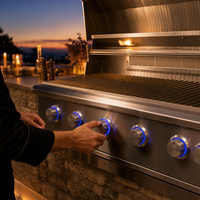 Barbecue à gaz encastrable haute capacité à 6 brûleurs en acier inoxydable avec une surface de cuisson massive et un contrôle précis de la température