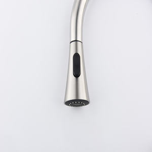 Robinet de cuisine DB Pull Out Spraye - Product Image 5