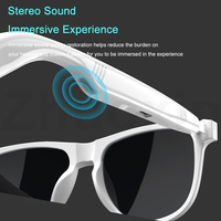 Lunettes de soleil intelligentes SG-23 Pro avec traduction instantanée IA, contrôle tactile, prise en charge de la traduction des appels vidéo, de la traduction des photos, etc.