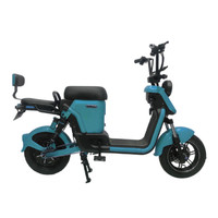 Kit de conversion électrique pour vélo, très demandé