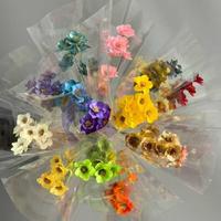 Fabrik-Großhandel Handgefertigte Echte Getrocknete Silberglockenblumen für Boho-Heimdekoration & Hochzeits-Blumenarrangements