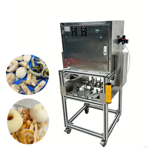 Éplucheur de pommes de table électrique, machine à éplucher les pommes/kiwis, machine à éplucher les agrumes, mandarines, oranges, citrons - Product Image 1