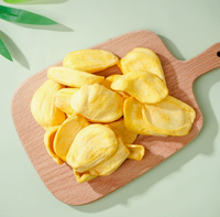 Vacuümgefrituurde Jackfruit Chips Puur Natuurlijk Zonder Extra Toevoegingen Knapperige Tropische Fruitsnack voor Groothandel