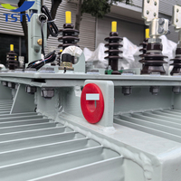 Transformateur de puissance triphasé TSTY écologique 50Hz et 60Hz 250Kva 500Kva 1250KVA