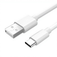 Câble de charge rapide USB-C vers USB-C portable de 1 m avec conducteur en cuivre pur et blindage tressé – Vente en gros