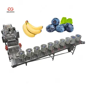 Gelgoog Air Bubble Green Banana Washing Berry Fruit Cleaning Machine With Ozone Vegetable