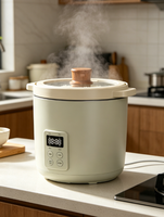 Mini-cuiseur à riz électrique individuel 1L, modèle R29/R31, 230W/300W, idéal pour les dortoirs