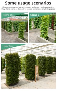 Tour d'<span class=keywords><strong>ananas</strong></span> hydroponique : Nouvelle culture hors-sol épaissie, design minimaliste, support de serre, application OEM utilisée - Product Image 5