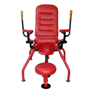 Chaise Sexy Multifonctionnelle Chaise Acacia Électrique SM Alternative Jouet Adulte Chaise À Huit Griffes Couple Amour Tigre Tabouret Lit - Product Image 4