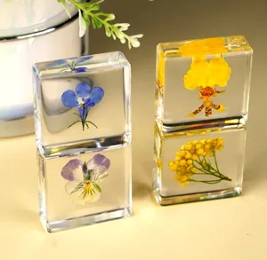 Real herbal resin small Daisy pansy flower specimen children's teaching props prize gift