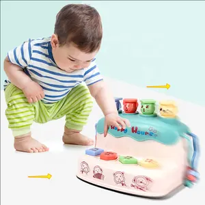 Educational new hobbie musical plastic toy instruments for baby with light and music 12M+ baby toys