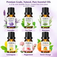 Set Minyak Esensial Lavender OEM ODM, Cold Pressed, Murni dari Tumbuhan, Tea Tree, Rosemary, Menenangkan, Membersihkan, Menyeimbangkan Kulit, Meredakan Iritasi