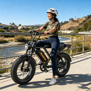 EU Stock Retro Scrambler Fat Tire Electric Bike 20 Inch 48V 20Ah Ebike Dual Suspension <b>Snow</b> Bike 150kg Payload For Adventure - Product Image 1