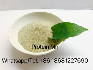 Bò Sữa Phụ Gia Thức Ăn Gia Súc Làm Giảm Chi Phí Thức Ăn Bổ Sung Dinh Dưỡng Tăng Cường Sản Xuất Sữa Bò - Product Image 5