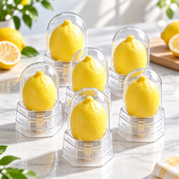 3D Fruit IJsverpakkingen 3 stuks per set PET Koepel Plastic Bakjes voor Mango Avocado Aardbei Framboos Perzik Citroen IJslollies