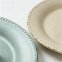 Service de table en grès EKA avec logo personnalisé et bord perlé, vaisselle en céramique mouchetée avec assiette, bol, tasse et carafe, décoration de mariage OEM/ODM