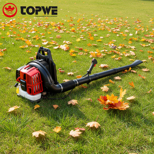 เครื่องเป่าลม TOPWE Super September แบบพกพา 2 จังหวะ รุ่นอุตสาหกรรม 63 ซีซี เครื่องเป่าลมแรงสำหรับทำความสะอาดสนามหญ้า - Product Image 1