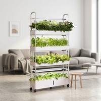 Système d'irrigation hydroponique vertical intelligent pour la maison Tru-spring à 4 niveaux, système d'irrigation aéroponique, TSP 210, lampes de culture LED automatiques