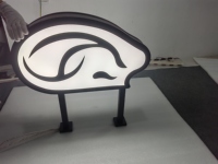 Boîte à lumière LED double face en acier thermolaqué noir haut de gamme, avec revêtement vinyle, étanche IP67, haute luminosité, publicité personnalisée