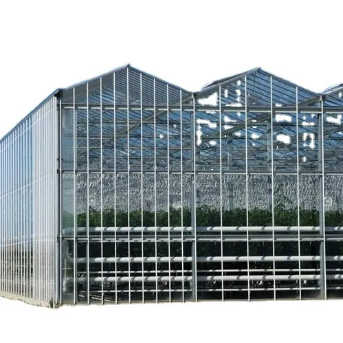 Newest Multi-span Glass Greenhouse Hydroponic Greenhouse Venlo Roof Glass Covered greenhouse