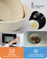 Vente en gros de récipients alimentaires biodégradables jetables canne à sucre bagasse boîtes à emporter ensemble de vaisselle bol à bagasse jetable