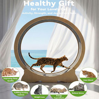 Roue d'exercice portable en bois naturel pour chat, grande roue d'exercice silencieuse, jouet de fitness pour animaux de compagnie pour chats d'intérieur