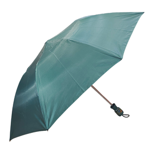 Green 2 Fold <b>Umbrella</b> Compact Lightweight Travel Rain <b>Umbrella</b> for Men and Women with Strong Wind Resistant Frame - Product Image 1
