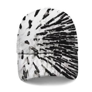 Thời Trang Mũ Bóng Chày Hip Hop Thể Thao Người Đàn Ông Của Hat Biểu Tượng Tùy Chỉnh Mô Hình Hat Casual Trucker Hat Polyester In - Product Image 6