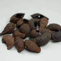 Moonin Seed Shell Shaker 50 pièces, sonnettes en coquille de noix foncée naturelle, faites à la main pour la thérapie sonore et des effets sonores relaxants