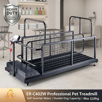 EUR PET 5HP Elektrisches Hunde- und Katzen-Agility-Trainings-Laufband mit Inverter-Motor, Zweiwege-Übung, Edelstahl, Kunststoff, Wasserdicht