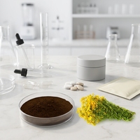 Extrait de Sève de St. John's Wort en Gros du Fabricant, 0,3% d'Hypericine, Extrait Herbal en Poudre d'Hypericum Perforatum, Qualité UV Santé, Conditionnement en Fût