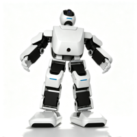 Robot humanoïde articulé à 17 degrés de liberté, Raspberry Pi CM5 STM32 Core Block & Python, robot électronique programmable, ZY 7.4V 3200mAh