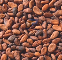 Batteuse Offre Spéciale éplucheuse de cacao décortiqueur d'éplucheur de fèves de cacao de café