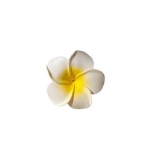 批发定制软塑料蛋花发夹小号人造花发夹女孩沙滩度假甜蜜 - Product Image 6