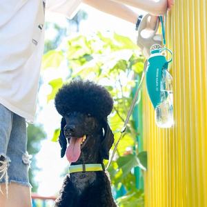 Botella de Agua Portátil de Alta Calidad para Mascotas, Plegable, para Viajes, para <span class=keywords><strong>Perros</strong></span> y Gatos, para Caminar al Aire Libre - Product Image 3