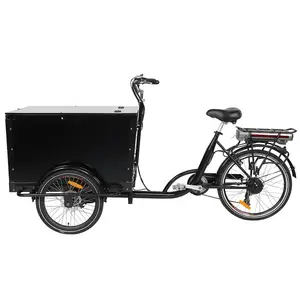 Kuake China Cheap Hot Sale 3 Wheel Ice Cream Coffee Pedal Freezer Bike Mobile Cart Food Truck Electric Delivery Tricycle