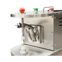 Commerciële Elektrische Kleine Roestvrijstalen Multifunctionele Schilmachine Voor Het Schillen Van Fruitschiller Kiwi-Appelsinaasappelverwerking