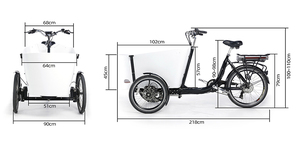 Tricycle électrique de fret populaire en Australie avec <span class=keywords><strong>porte</strong></span> pour <span class=keywords><strong>chien</strong></span>, cadre en aluminium, apprécié des clients australiens - Product Image 6