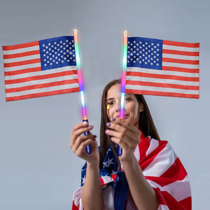 Bandiere Luminose Portatili del Giorno dell'Indipendenza Americana, Personalizzate, in Poliestere, Marca Ishine, per Esterni - Product Image 2
