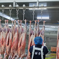 Équipement industriel d'abattage de moutons et de chèvres pour le dépeçage, le pelage et la transformation de la viande dans les abattoirs