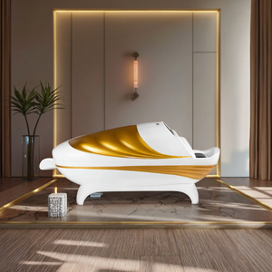 Wet/Dry Steam Ozone Infrared LED Spa Capsule CN Plug Skin Rejuvenation Hydro Massage Standing ABS Body - Product Image 1